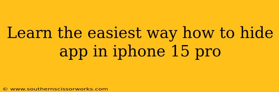 Learn the easiest way how to hide app in iphone 15 pro