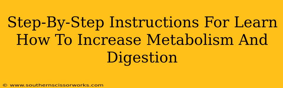 Step-By-Step Instructions For Learn How To Increase Metabolism And Digestion